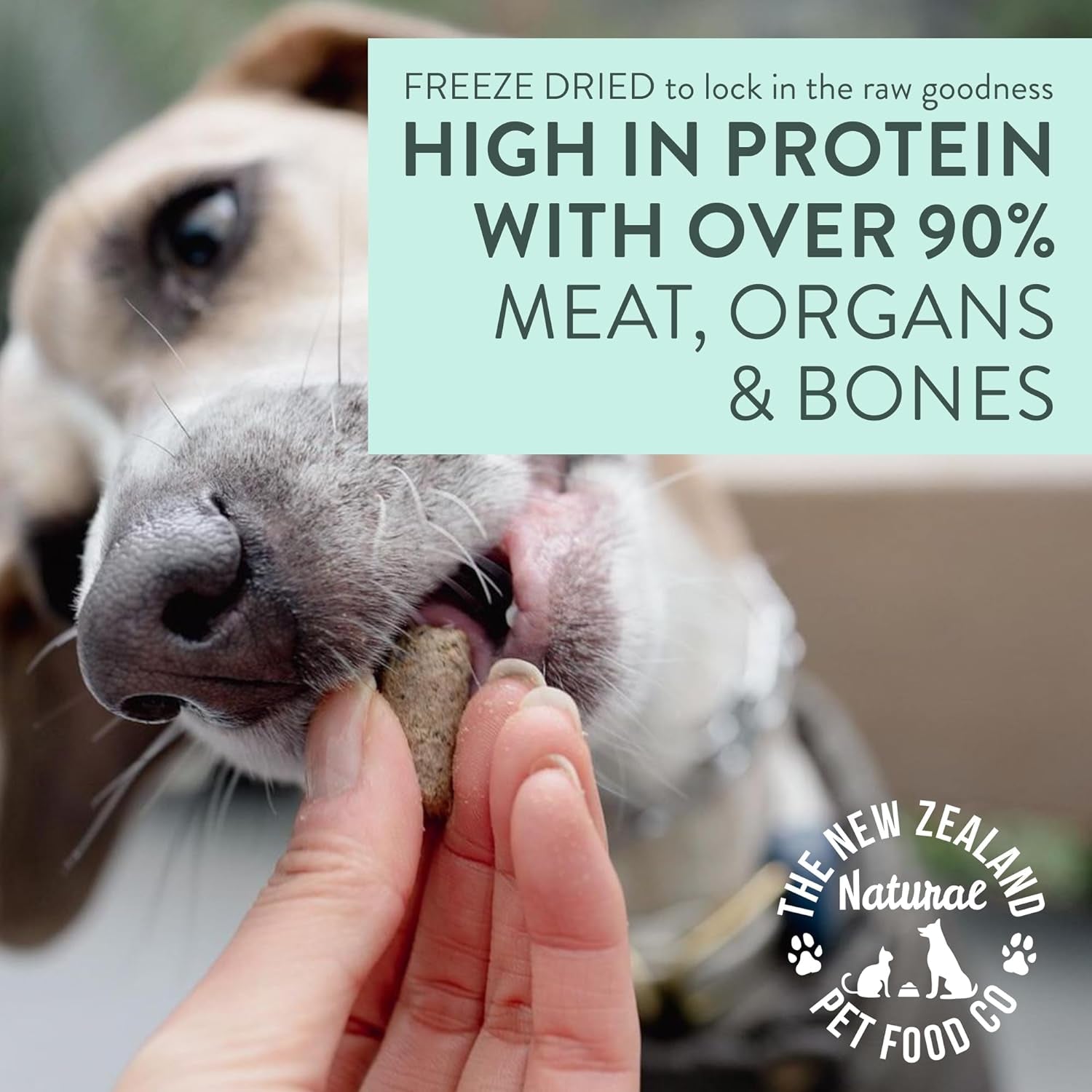 WOOF Freeze Dried Raw Dog Food, Mixer, or Topper, or Treat - High Protein, Natural, Limited Ingredient Recipe